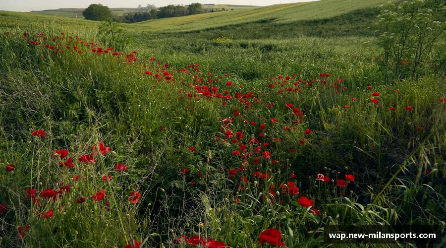 每一步进步，都是成就的开始。